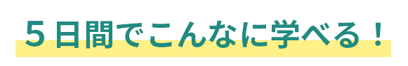 5日間でこんなに学べる!